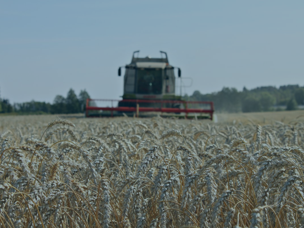 Korn- og planteproduksjon. Bilde hentet fra google.