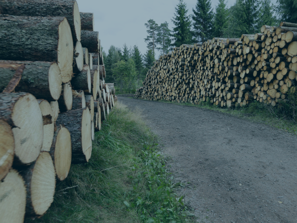Skog og utmark. Bilde hentet fra google.