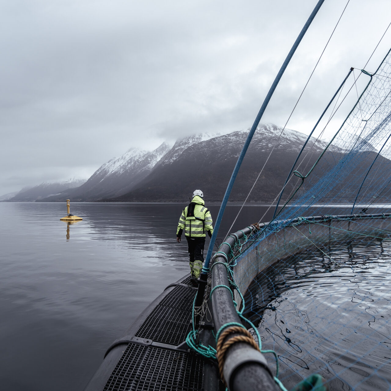 Foto: Måsøval AS/ Sondre Marøy