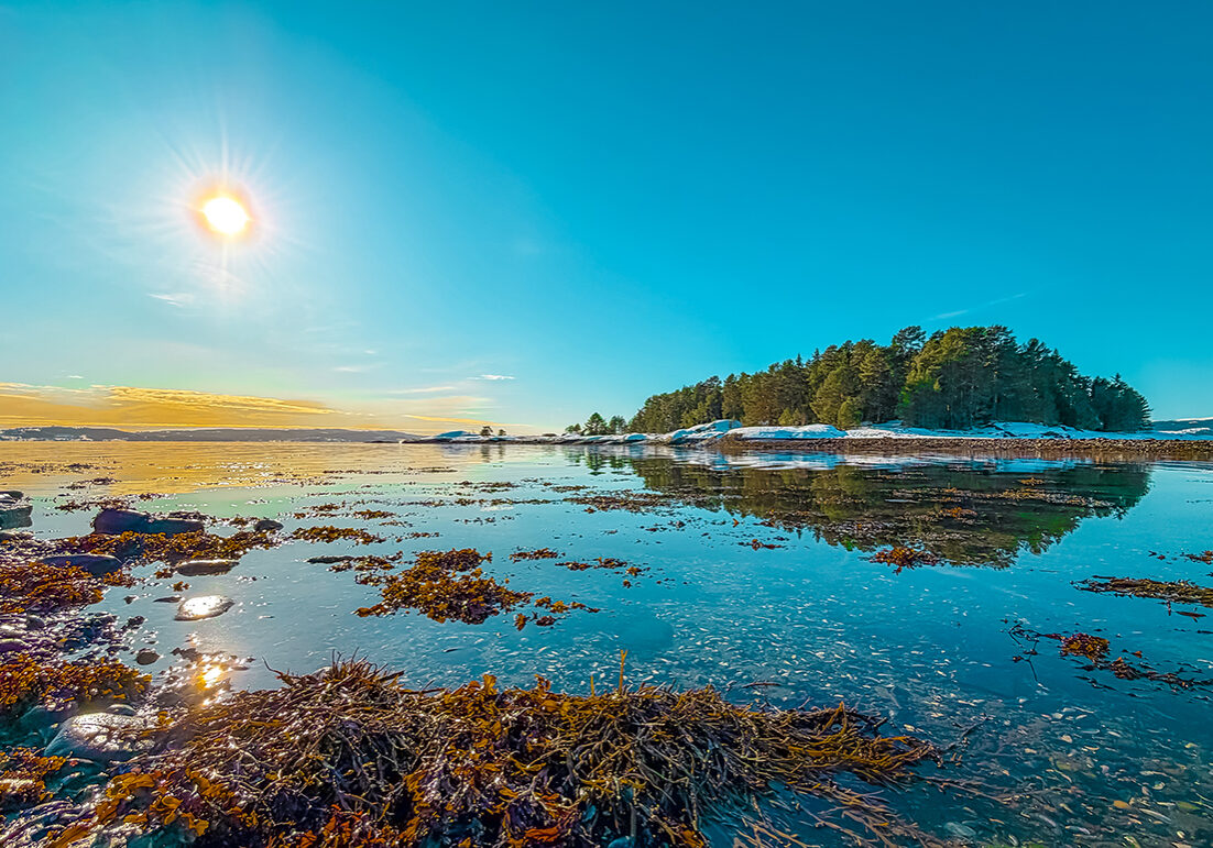 Hoøya, Steinkjer. Foto: Dennis Löffka