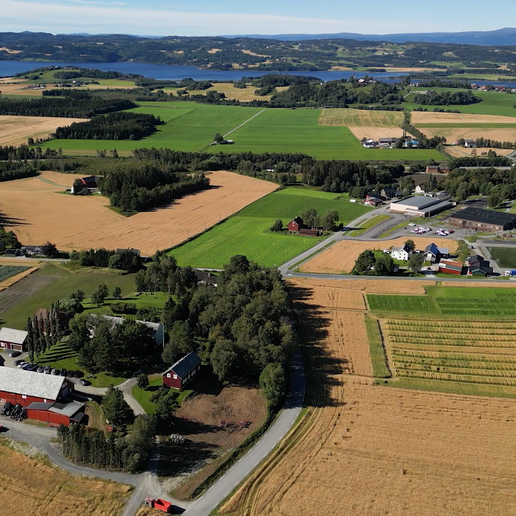 Mære Landbruksskole. Foto Camerat